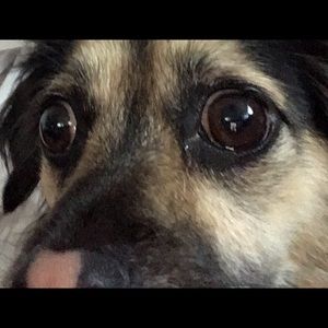 Meet your Posher, Sam